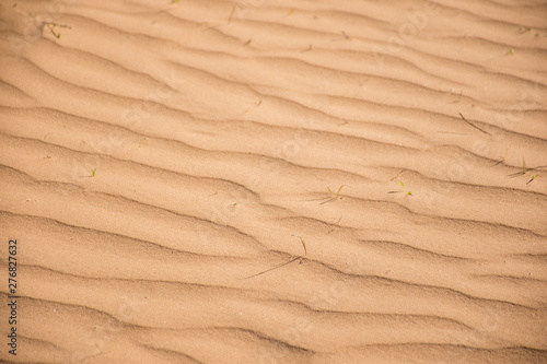 Ripple sand dunes, Perry Sandhills, Australia
