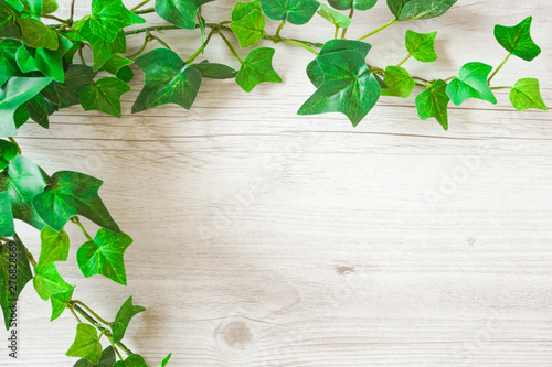 Green plant and wood grain background material. 緑の植物と木目の背景素材