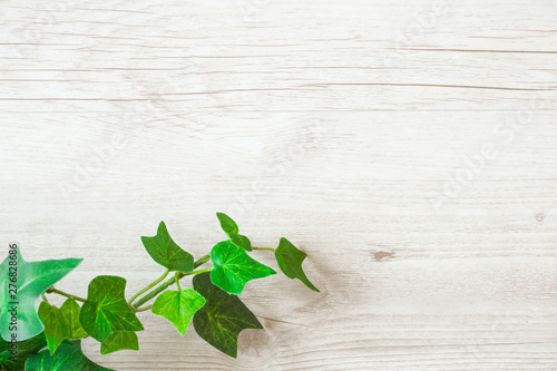 Green plant and wood grain background material.                                     