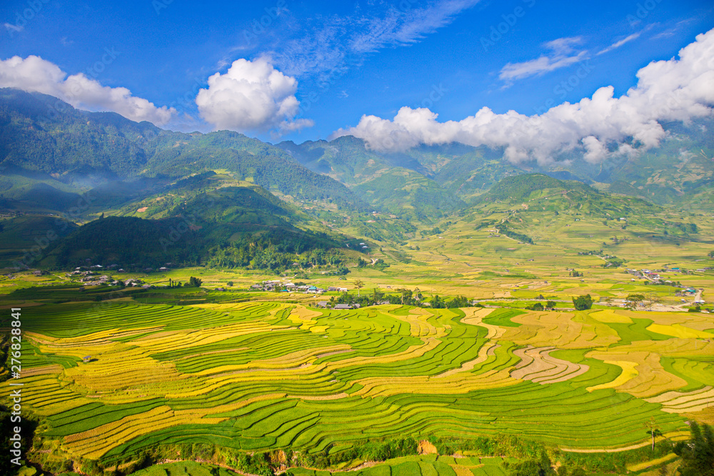 Ripen rice terraces in Northern Vietnam at harvesting time