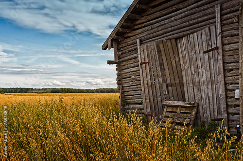 Barn Doors And Rye Field photo