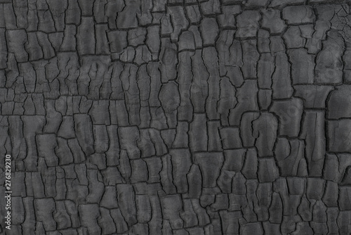 Wood charcoal texture. Burnt tree. Black coal background