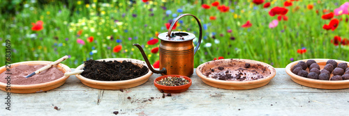 panorama with all ingredients for producing seed bombs or seed balls photo