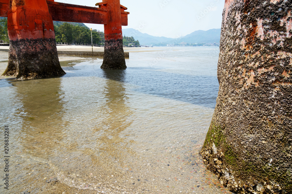 Fototapeta premium 厳島神社の大鳥居の足元