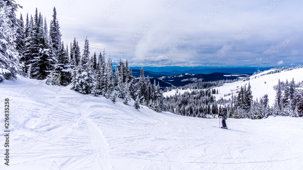 Senior woman skier skiing down the slopes in the high alpine ski area at Sun Peaks in the Shuswap Highlands of central British Columbia, Canada