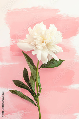 Summer flower Peony Vertical Print. White peony on background of brush strokes of soft coral shades. Mobile wallpaper. Social media mobile story. Flower Wall Art. Decoration element