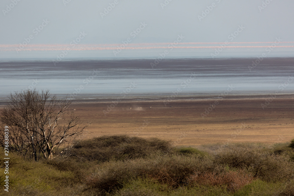 Der Manyara Nationalpark - Tansania Der Manyara Nationalpark - Tansania