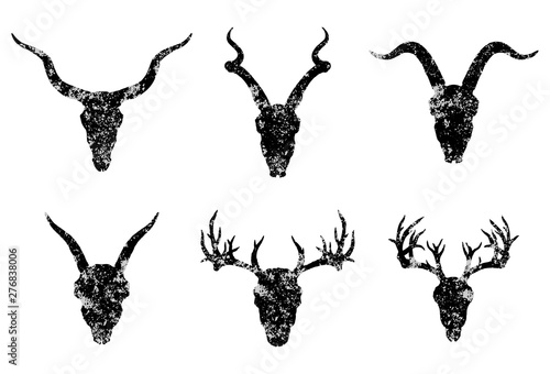 Vector set of six hand drawn skulls of horned animals:  antelopes, deer and goats on white background.