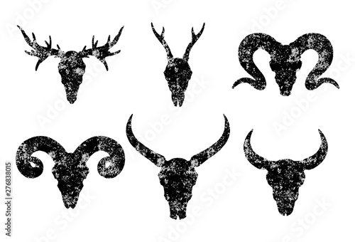Vector set of six hand drawn skulls of horned animals: wild buffalo, bull, deer and ram on white background.