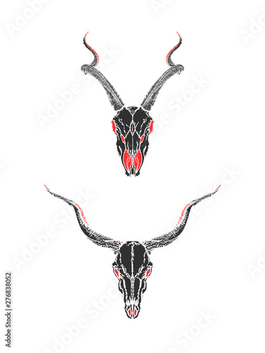 Vector illustration with hand drawn skulls of antelopes on white background. Black and red silhouettes.