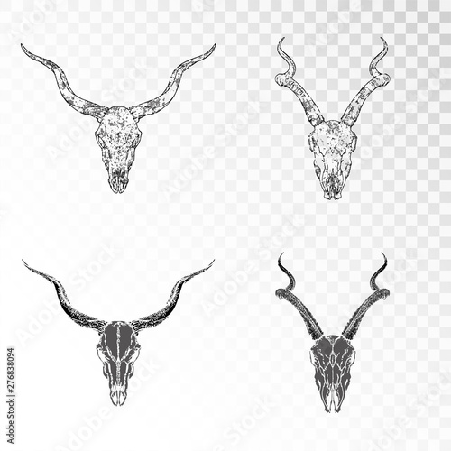 Vector set of hand drawn skulls antelopes on transparent background. Black silhouettes and contour with grunge texture.