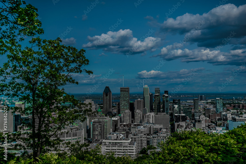 Fototapeta premium Montreal from Mount Royal view