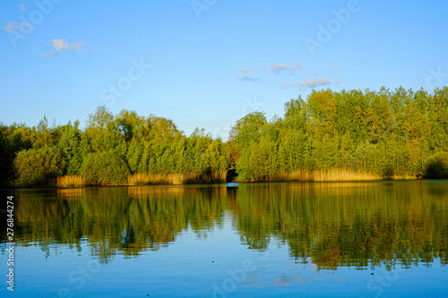 Reflection of trees and blue sky with some clouds in the water of a calm lake