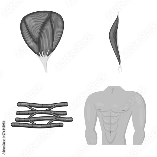 Isolated object of human and body symbol. Set of human and cells stock vector illustration.