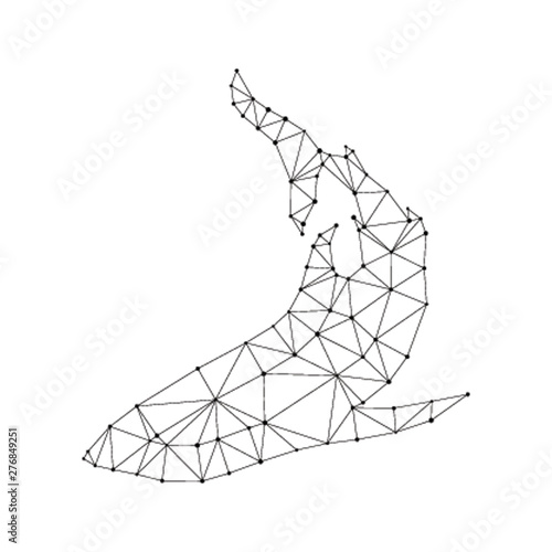 polygonal geometric shark silhouette on white background. futuristic vector illustration