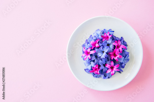 Group of violet and magenta petals of hyacinth flower in a white plate