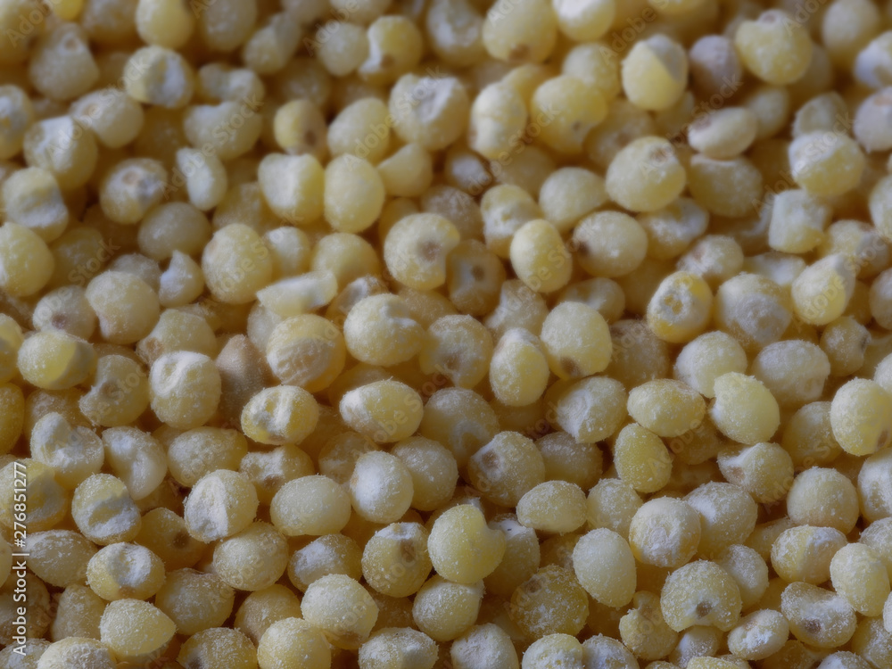 Macro Close-up of Millet Seeds, Food Background With Selected Focus Macro Close-up of Millet Seeds, Food Background With Selected Focus