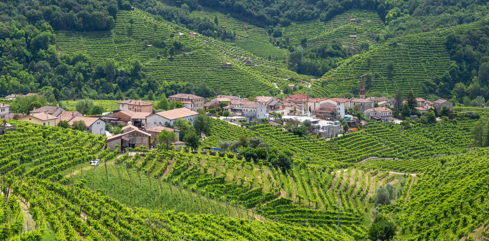 Panorama of village of Santo Stefano surrounded by hills and vineyards