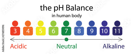 The PH balance scale chart in a human body 
