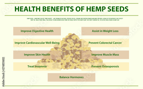 Health Benefits of Hemp Seeds horizontal infographic illustration about cannabis as herbal alternative medicine and chemical therapy, healthcare and medical science vector