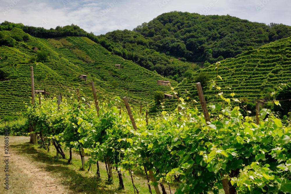Path to vineyards under hills in the Valdobbiadene area