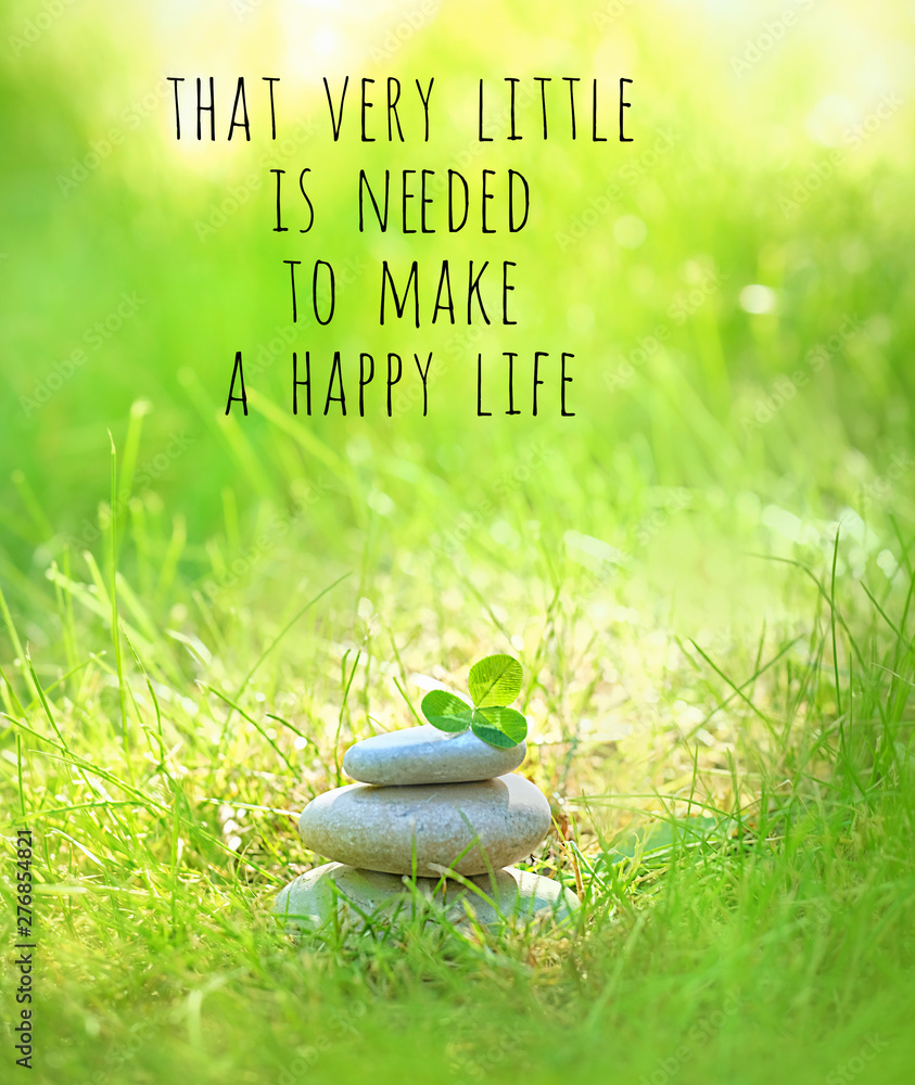 That Very Little Is Needed To Make A Happy Life Inspiration Quote Relax Still Life With