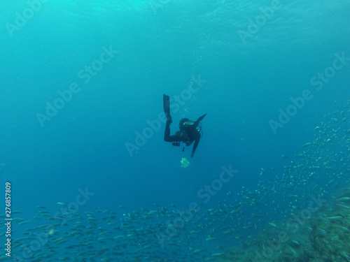 A scuba diver picks up a plastic bag during a dive in the Atlantic ocean