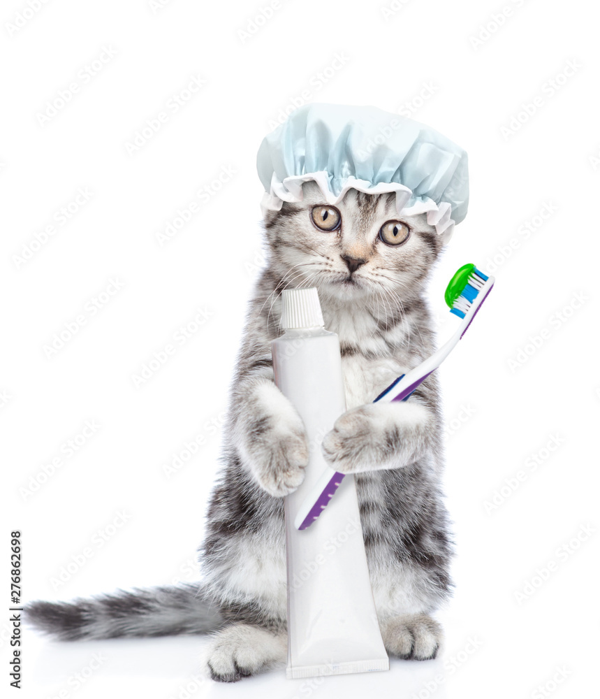kitten toothbrush and toothpaste