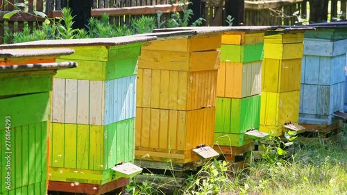 Wooden and old beehives in sunny day in summer, Poland