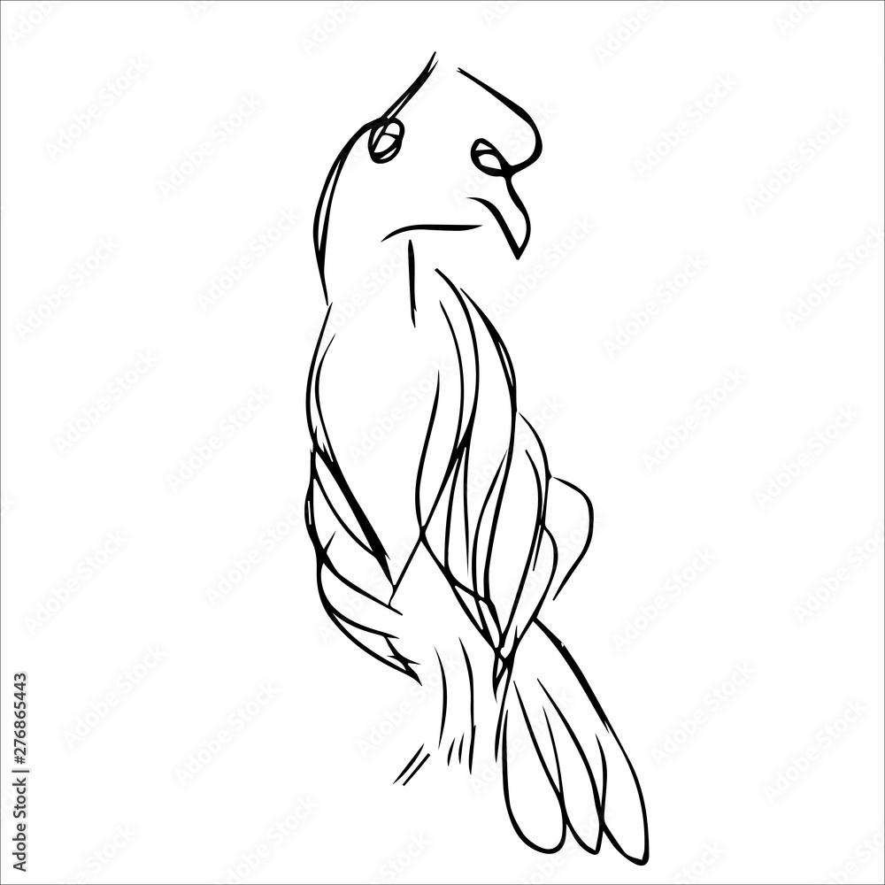 Animal Line Art Monochrome Style Animal Line Art Monochrome Style