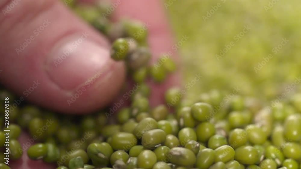 Hand takes Lentils beans Slow Motion Macro Closeup shot Hand takes Lentils beans Slow Motion Macro Closeup shot