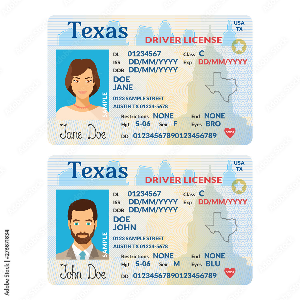 Vector template of sample driver license plastic card for USA
