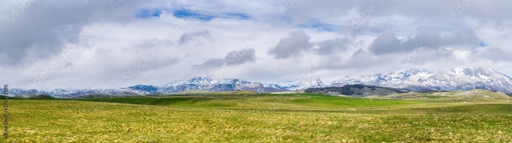 Obraz premium Montenegro, XXL nature landscape panorama of spectacular snow covered mountains of durmitor national park behind endless green pastures with sheep and cows