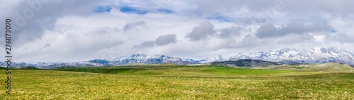Montenegro, XXL nature landscape panorama of spectacular snow covered mountains of durmitor national park behind endless green pastures with sheep and cows