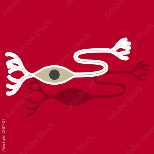 Education Chart of Biology for Nerve Cell Diagram. Sticker illustration