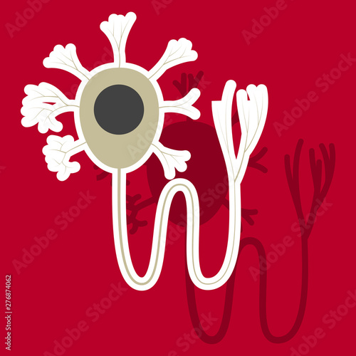 Education Chart of Biology for Nerve Cell Diagram. Sticker illustration