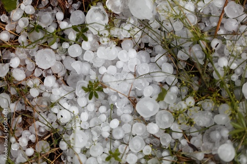 Large hailstones in a meadow