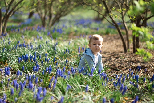 Young mother walking with a baby boy son on a muscari field in Spring - Sunny day - Grape hyacinth