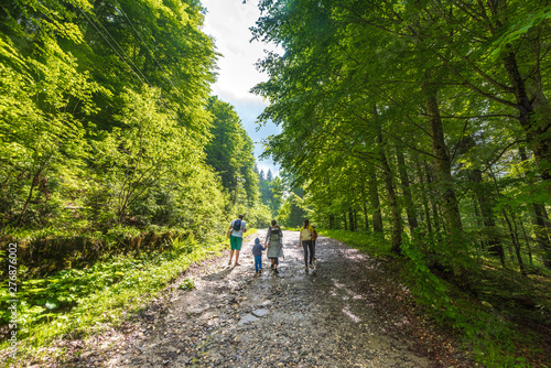 Family walks through a forest in the Carpathian Mountains, Romania