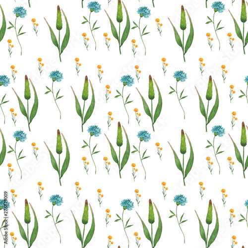 Beautiful watercolor floral and herbs seamless pattern with colorful flowers and leaves on white background. Botanical hand drawn illustration. Vintage wallpaper spring and summer season. © Lena