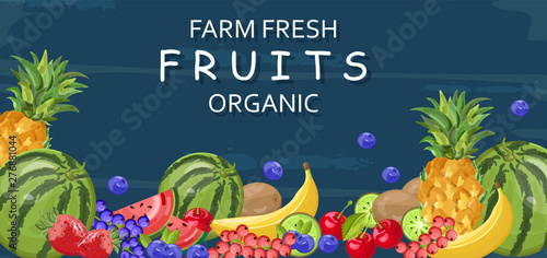 Farm fresh fruits Vector banner. Watermelon, banana, pineapple and berries
