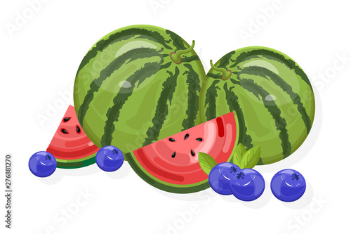 Fresh fruits Vector banner. Watermelon and berries isolated