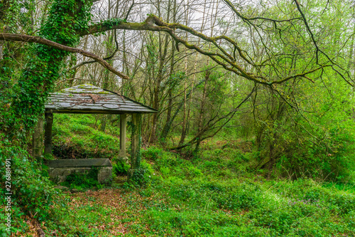 lavadero antiguo de piedra en galicia dentro de europa rodeado de bosque h  medo y hojas verdes