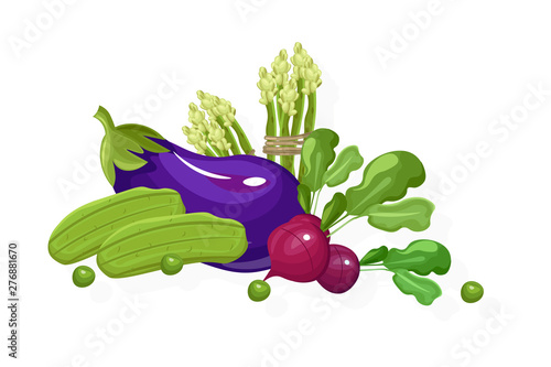 Eggplant, radish, greens set. Store shop label isolated poster advertises