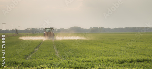 Tractor sprays field with pesticides in spring for better grain growth.