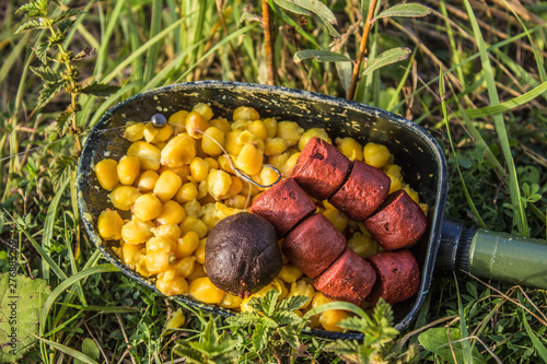 Feed for fishing
