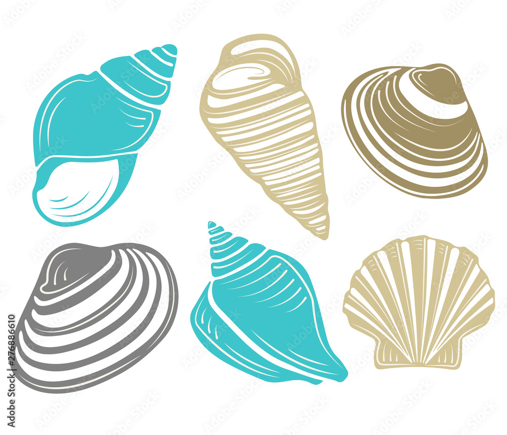 Set of various blue sea shells and starfish Set of various blue sea shells and starfish