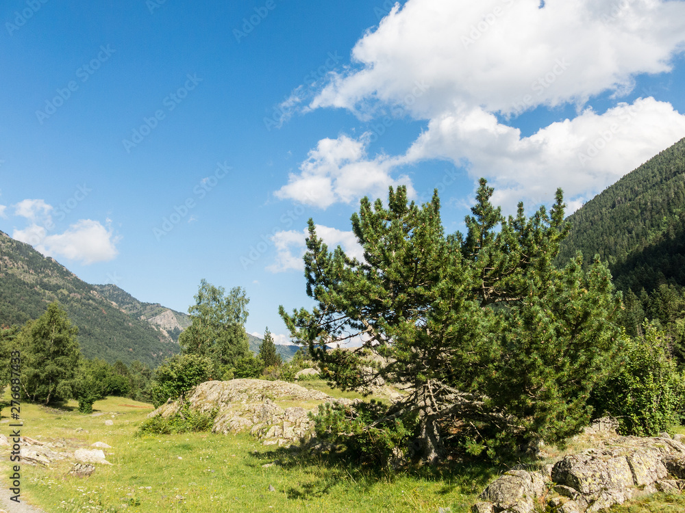 Fototapeta premium Panoramic of the Aiguestortes and Sant Maurici National Park, road of the Pond of Sant Maurici, in the province of Lleida, Catalonia, Spain