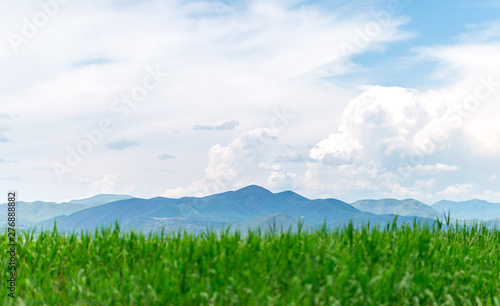 sea landscape with mountines and canes, blue sky with clouds, cloudly without sun, kazakhstan