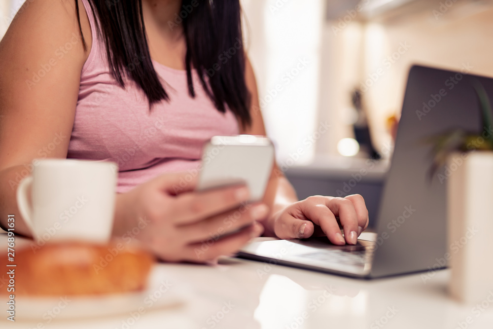 Pregnant woman using laptop at home Pregnant woman using laptop at home